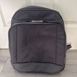 DELSEY PARIS Chatelet Travel Laptop Backpack