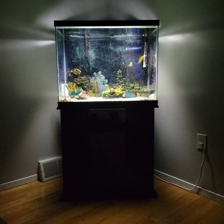 56 gallon aquarium sales