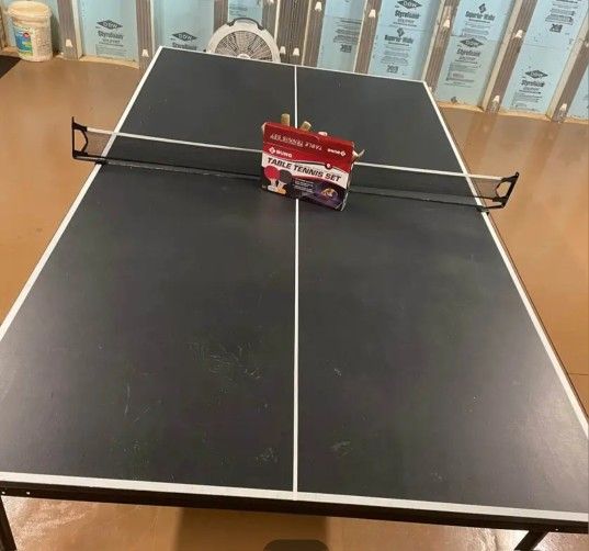 Table Tennis Ping Pong