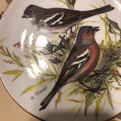 Collectible Plates