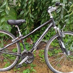 Bicycle Mechanic Special (Fixer-Upper)