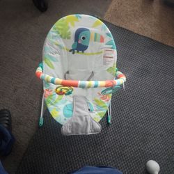 Baby Bouncer