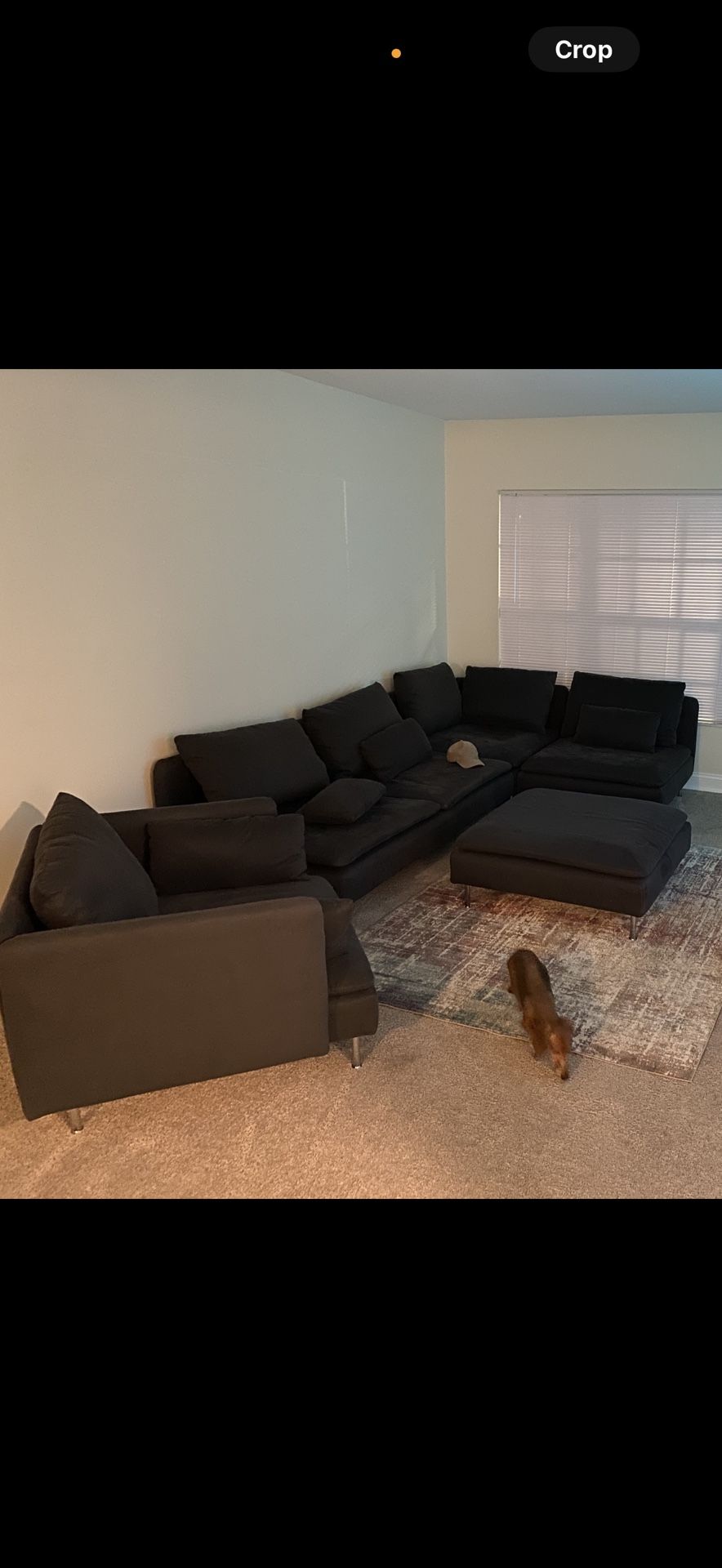 7 Piece Sectional