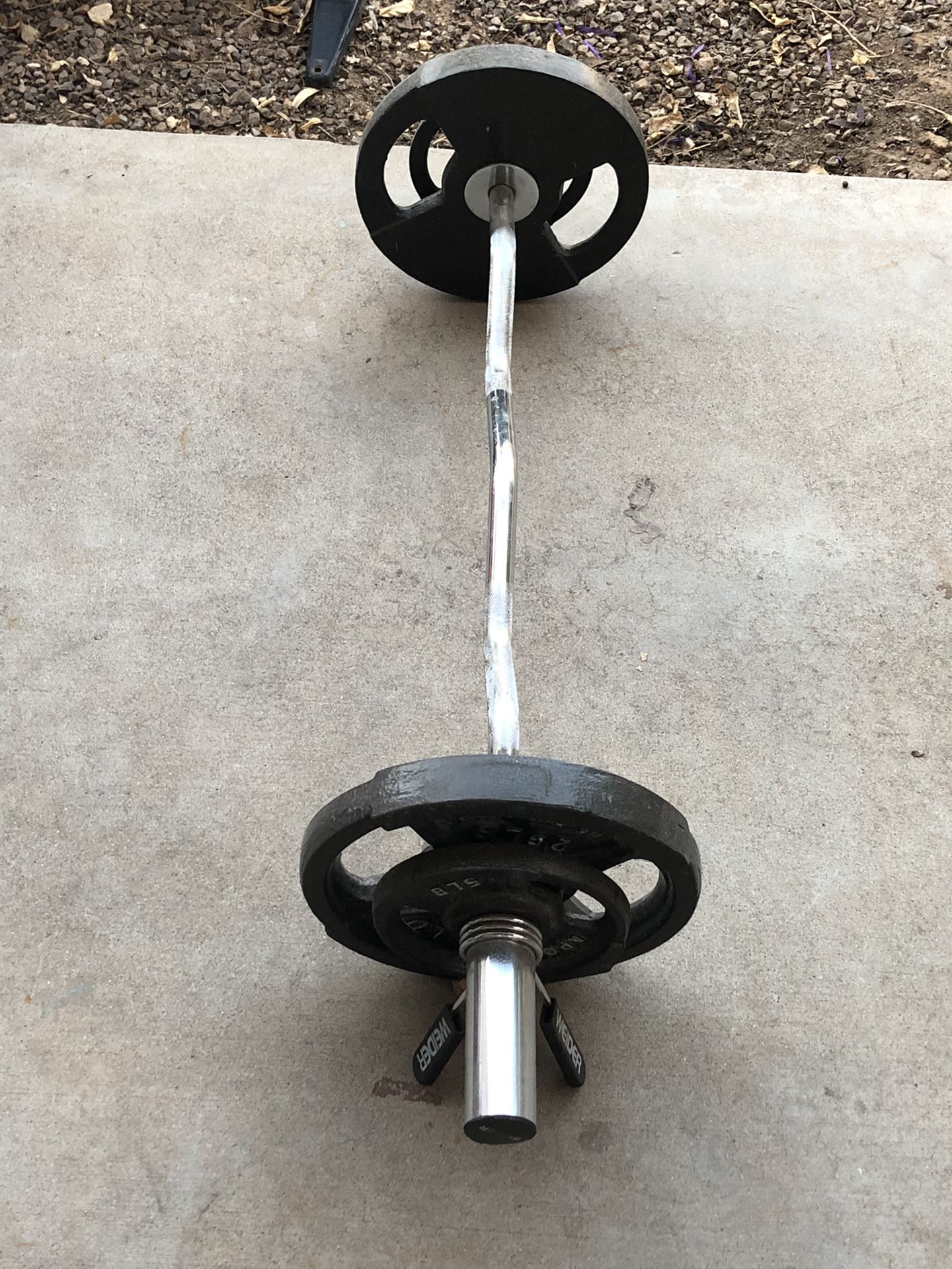 Apollo weights and Weider curling bar
