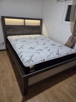 Brand New Queen Bed With Orthopedic Bamboo Mattress LED Light Headrest $559