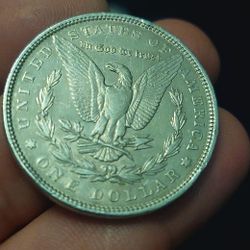 Morgan Silver Dollars (124) Lot