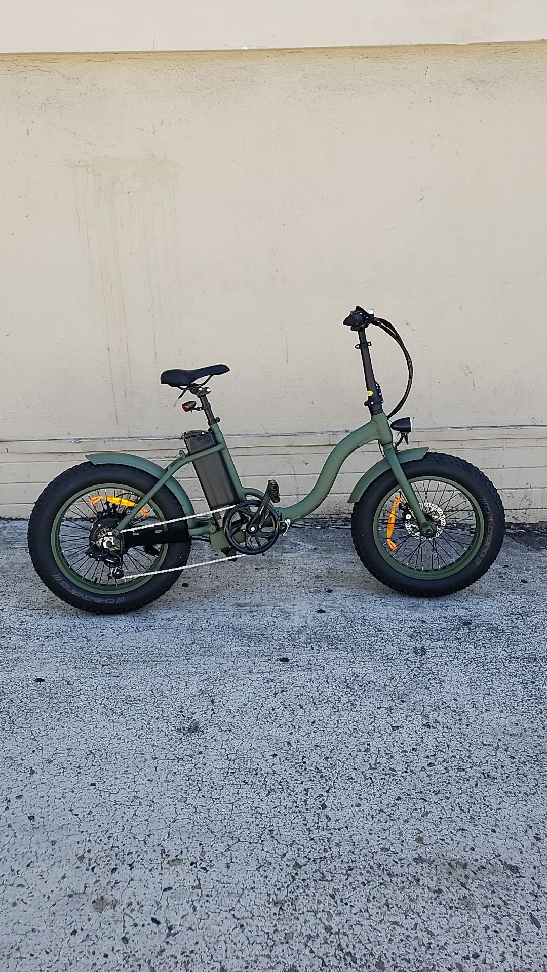 NEW Electric Bicycle "TJC" MossChaos