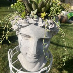 Male Succulent Beauty 