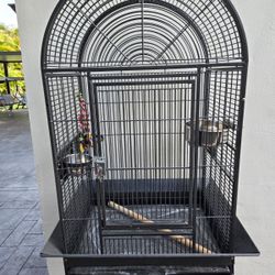 Bird Cage 