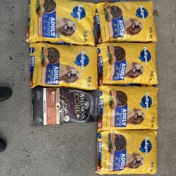 Dog Food 