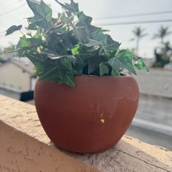 Faux Ivy Plant In Pot 
