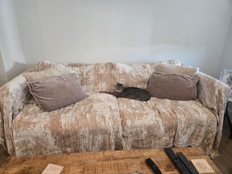 Free Sofa