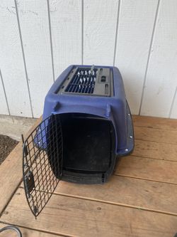 Kennel