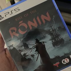 Ps5 Rise Of Ronin