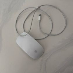 APPLE mouse 