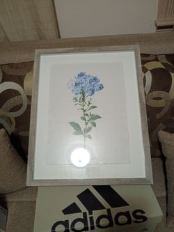 Glass framed flower sketch