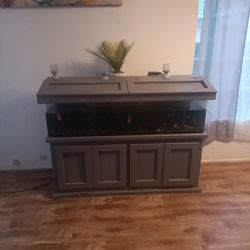 Acrylic Fish Tank