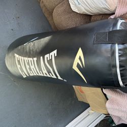 Everlast Punching Bag