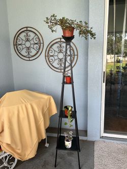 Plants with  plant stand