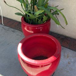 Two Red Pots 
