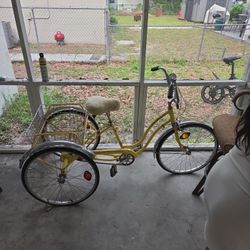 Schwinn BIKE