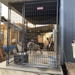 Dog Kennel