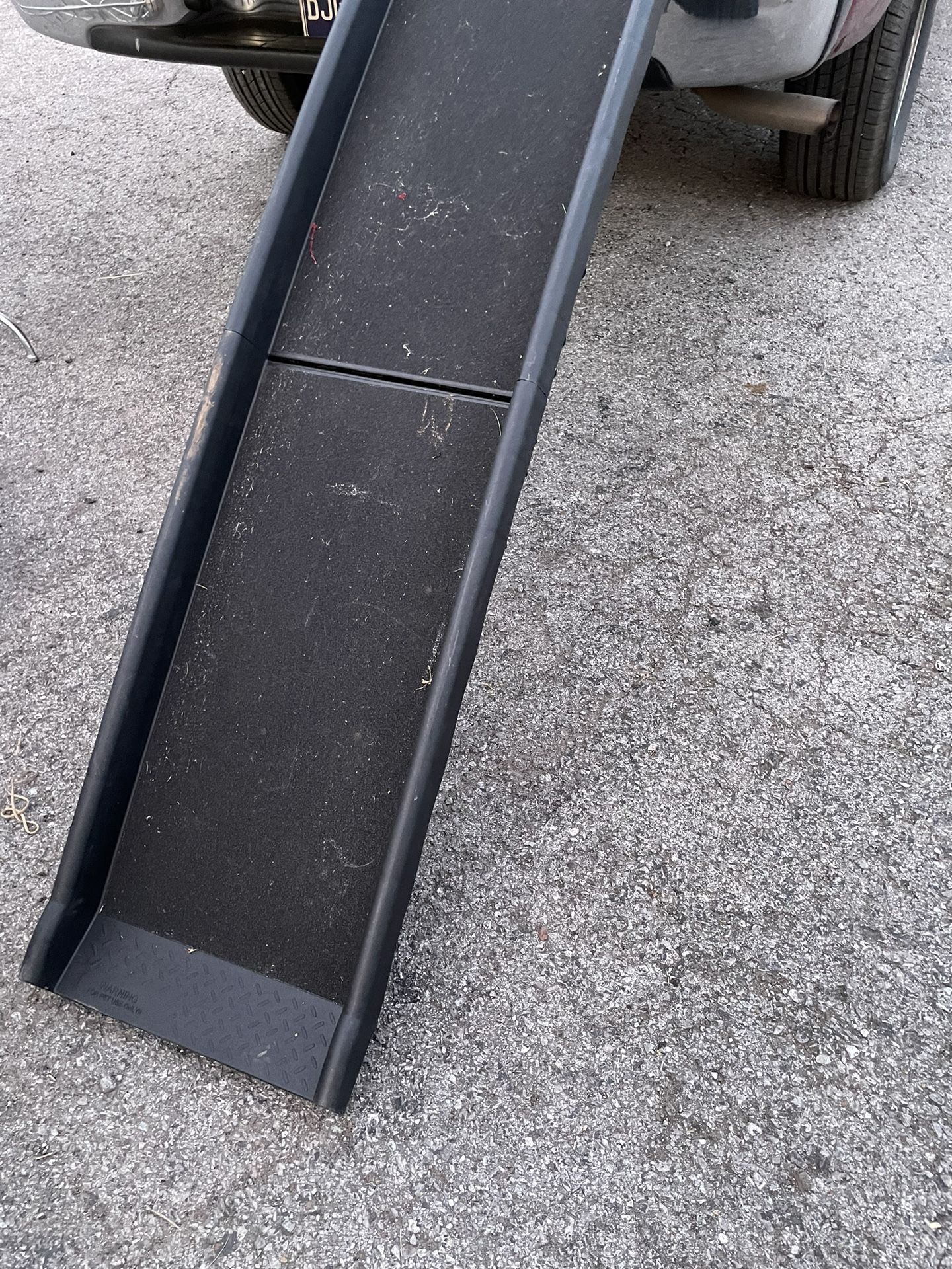 Dogs Ramp