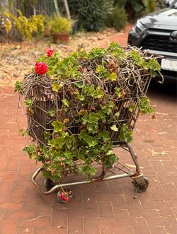 Rustic Vintage Metal Shopping Cart Garden Planter w/ Geranium Flowers