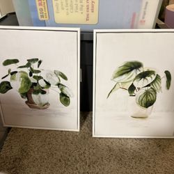Plant Artwork