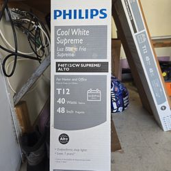 Phillips 10 Bulb, 3,81 Cm Bulbs