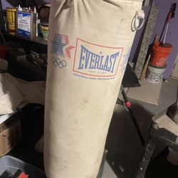 Everlast Heavy Punching Bag
