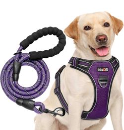 Adjustable Dog Leash, Purple, Medium