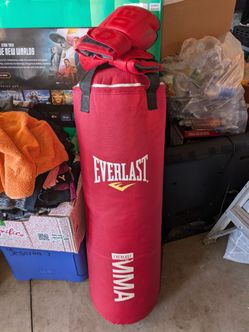 Everlast MMA Punching Pag with Gloves