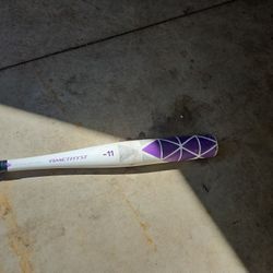 Easton Amethyst Bat