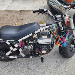 Full Size Mini Bike, Stock 212 Predator / Lights, Air Horn, Turn Signals, Brake Lights/ Needs Ignition Coil Installed/ CASH ONLY! NO TRADES  