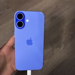 iPhone 16 Color Ultramarine 