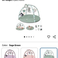 Blissful Diary Baby Play Gym Mat - NEW