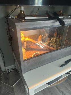 Terrarium For Sale With Accessories
