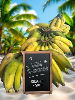 Organic Tropical Baby Thai Bananas