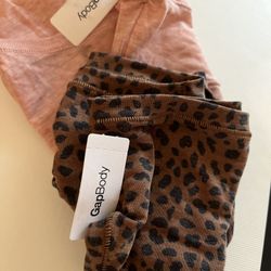 Gap Body Ladies Briefs