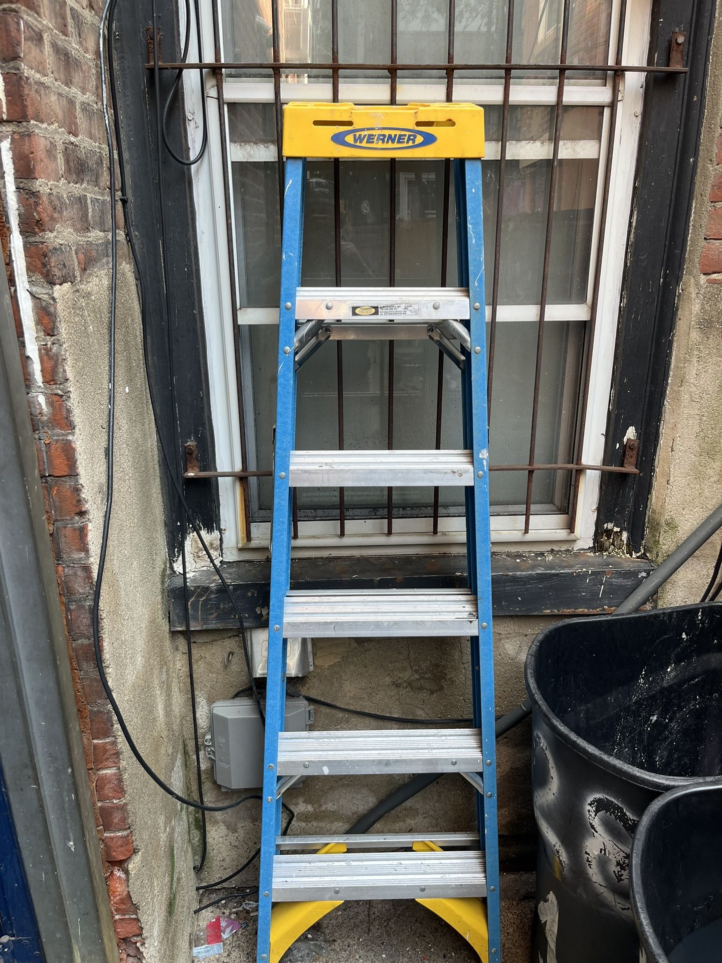 6 Foot Werner Ladder 