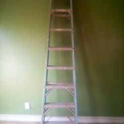 8 Foot Ladder 