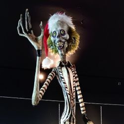 13 FT  Beetlejuice