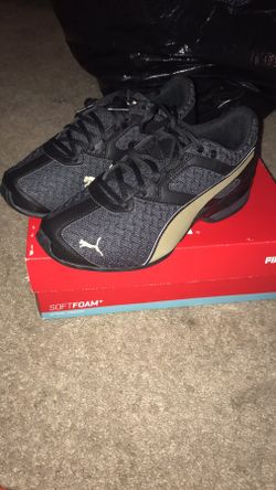 Pumas