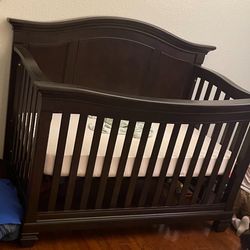 Crib & Daybed