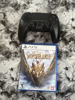 PS5 CONTROLLER/TIMY TINA GAME