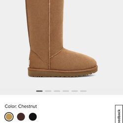 Ugg Classic Tall Boots 