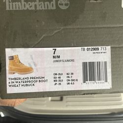 Men Brand New Timberland Boot