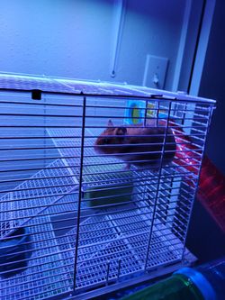 Small Pet Cage