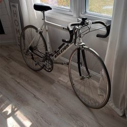 Raleigh R700 Aluminum Frame Carbon Fiber Fork Road Racing Bicycle Bike